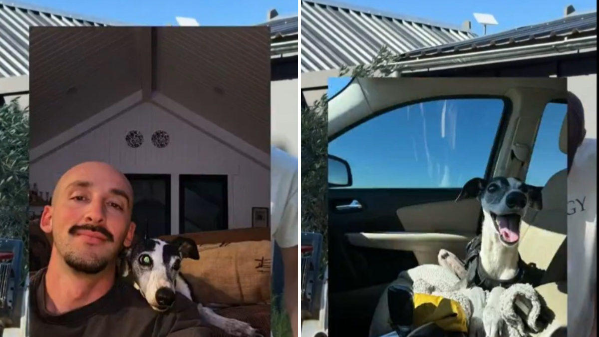 Contó que su perra tiene Alzheimer y emocionó a todos con su gesto hacia Loli