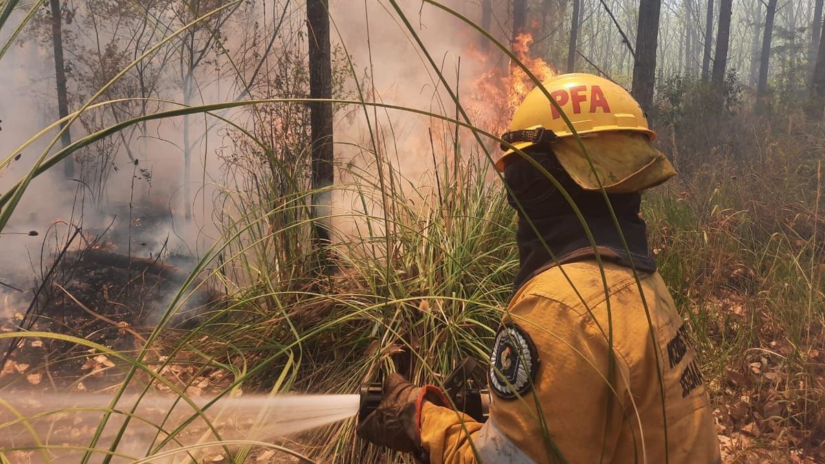 Incendio en los pastizales de Ezeiza: más de 150 bomberos y helicópteros combaten el fuego. (Foto: Ministerio de Seguridad de la Nación)
