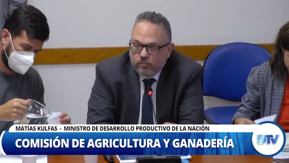 Con la presencia de Kulfas, Diputados avanzó con el proyecto que regula la producción del cannabis medicinal