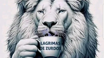 Marcha universitaria: cómo reaccionó Javier Milei en sus redes sociales