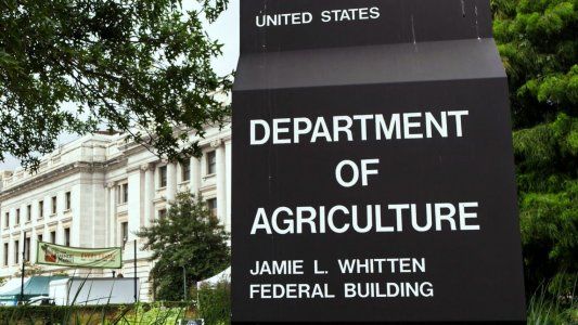 Un esperado informe del USDA sobre la campaña 21/22 para Estados Unidos