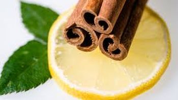 Trucos caseros para que tu casa huela a limón y canela de forma natural