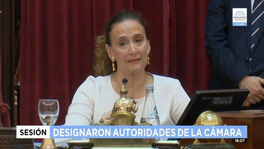 Emocionada, Michetti se despidió del Senado: Ojalá podamos ir pacificando nuestras confrontaciones