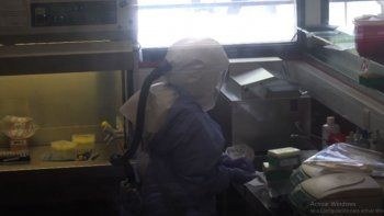 En el instituto ANLIS-Malbrán analiza las distintas cepas que se han detectado en nuestro país ( Foto: AP) En el instituto ANLIS-Malbrán analiza las distintas cepas que se han detectado en nuestro país ( Foto: AP)