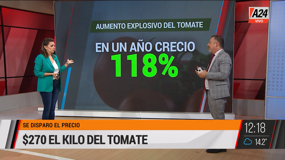 ¿Por qué el precio del tomate está por las nubes? (Captura de Tv)