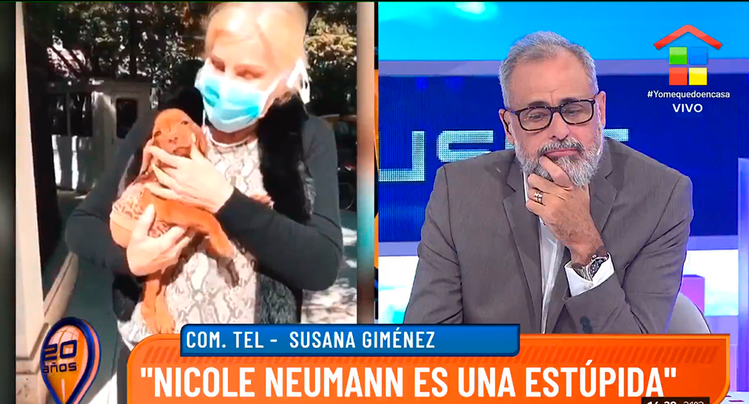 Susana Giménez en Intrusos: Nicole Neumann es una estúpida