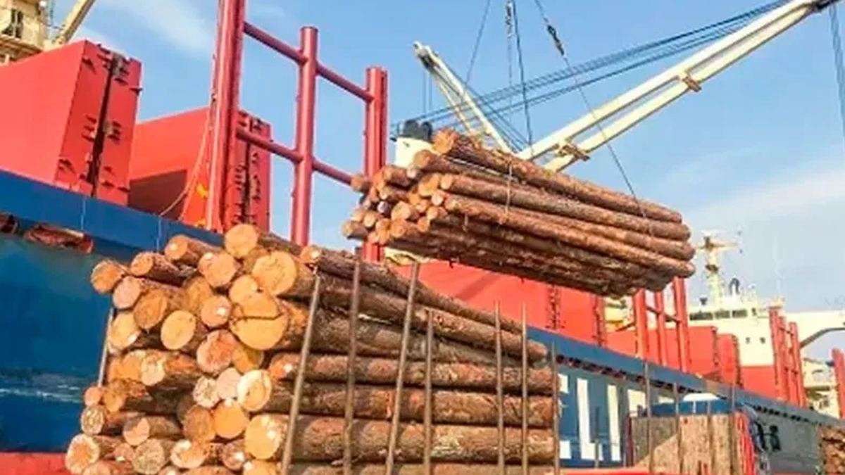 En lo que va del 2023 ya se realizaron 14 operaciones de exportación desde los puertos de Concepción del Uruguay e Ibicuy. (Foto: Archivo)
