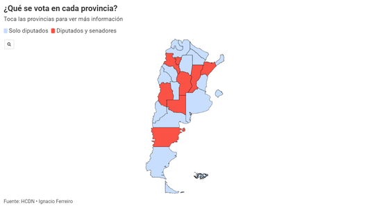 PASO 2021: Diputados y senadores, ¿qué se vota en cada provincia?
