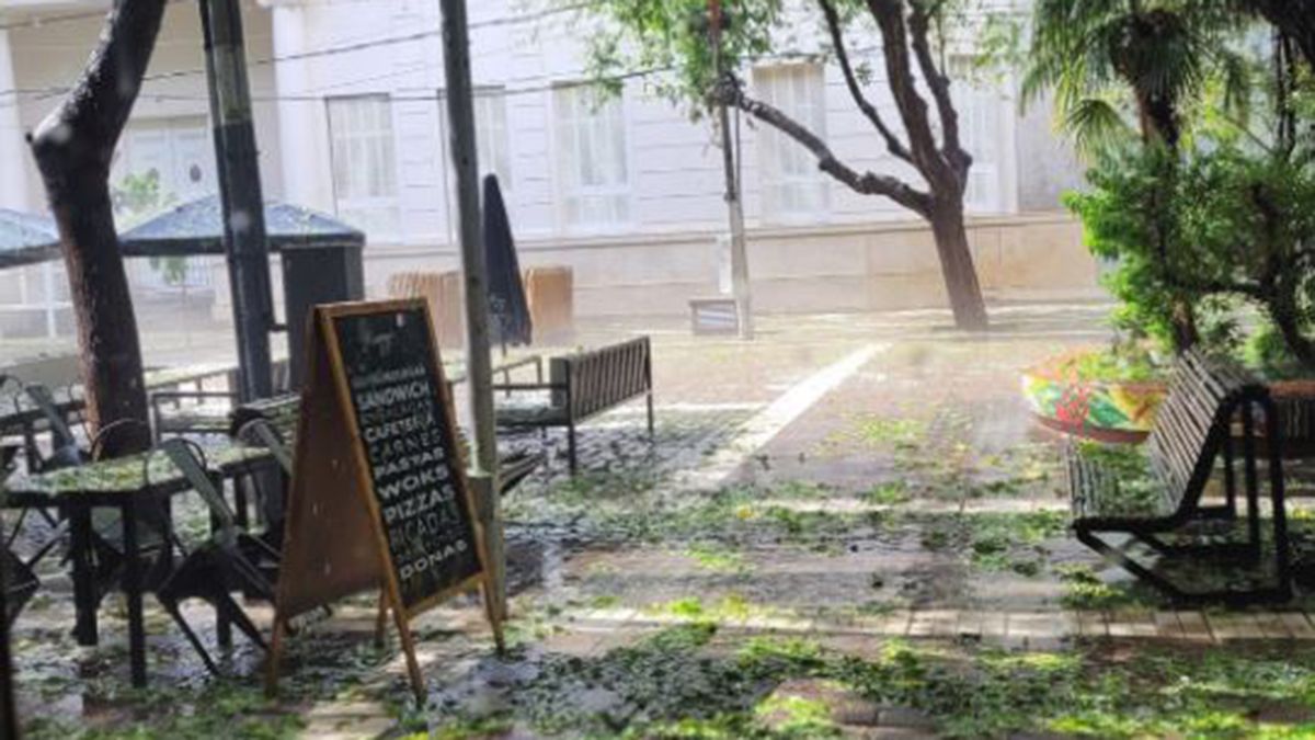 Fuerte temporal azotó a Mendoza. (Foto: NA)