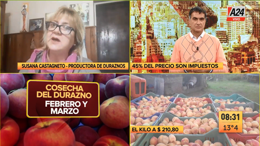¿Por qué el precio del durazno estuvo por las nubes?