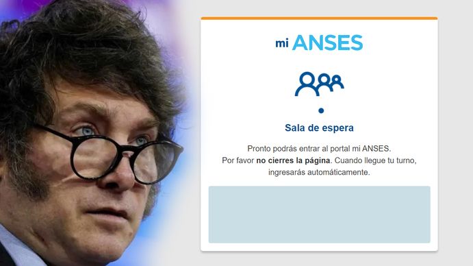 Los errores de ANSES para cargar el formulario de AYUDA ESCOLAR