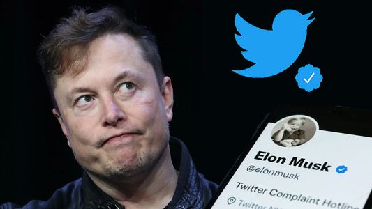 Twitter Blue debutó con un caos de verificaciones mientras Elon Musk no descarta la bancarrota de la empresa