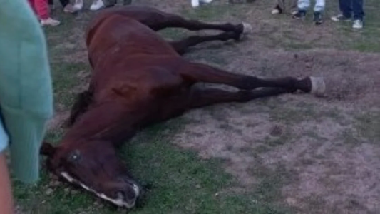 Dos yeguas murieron en una carrera en Corrientes: Les estallaron los pulmones