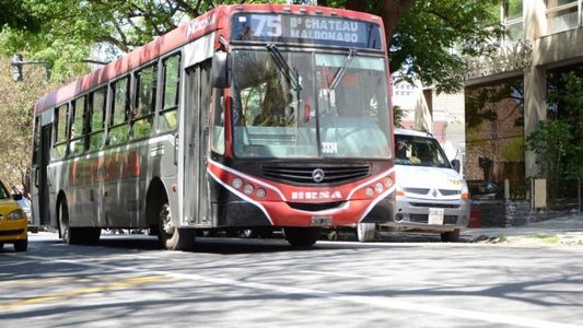 Destinan $12.000 millones para financiar al autotransporte del interior