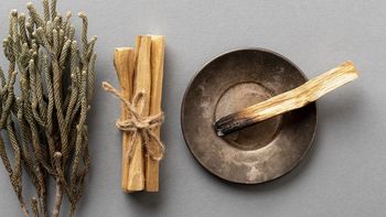 Descubre los beneficios del Palo Santo: el truco para una vida llena de energía positiva