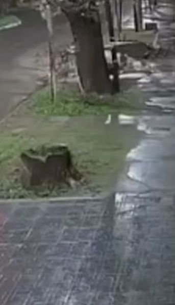 Video: así dos motochorros asesinaron a un policía que intentó resistirse a un robo