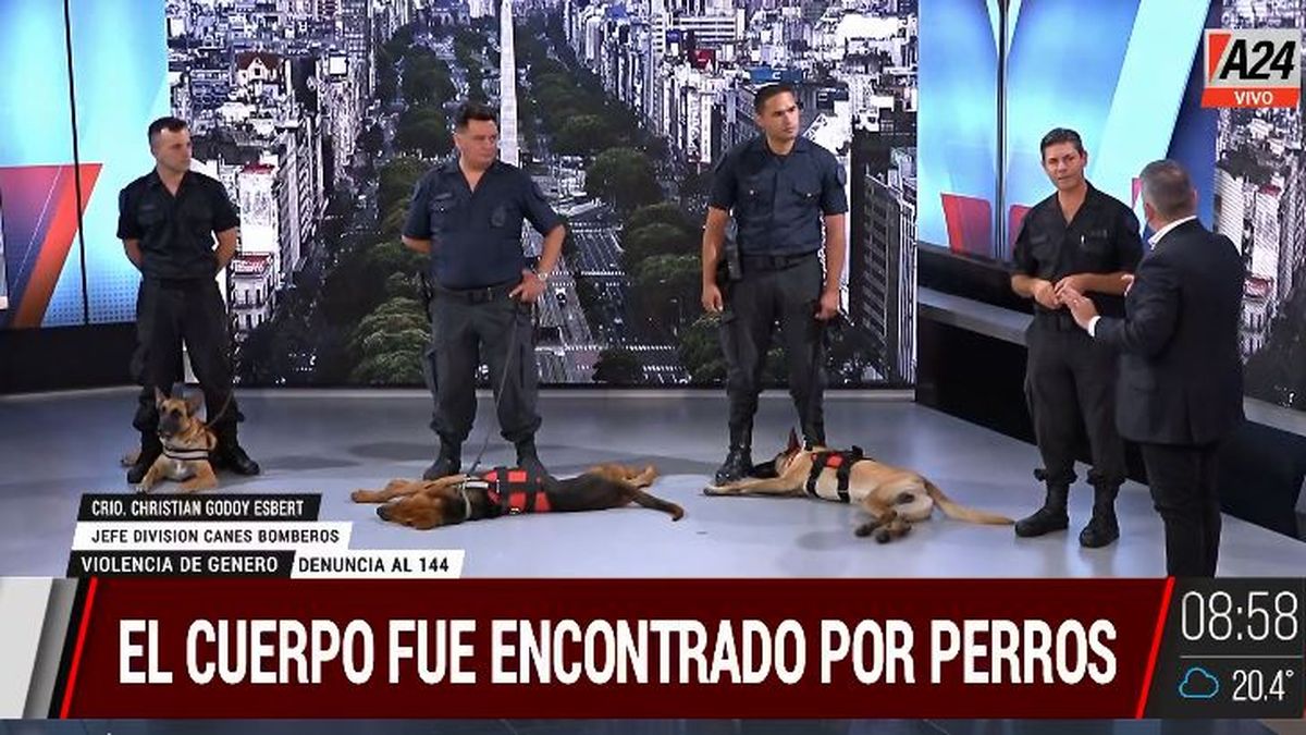 Crimen de Nancy Videla: estos son los perros que la encontraron. (Captura de Tv)