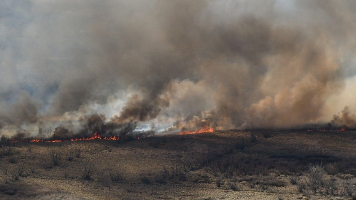 Incendios en el Delta.&nbsp; Detectaron una fuerte presencia de estos gases frente a Rosario. Foto: Télam.&nbsp;