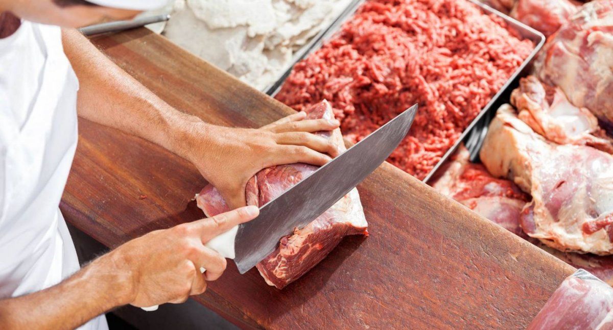 La carne y su distribución en media res