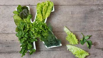 Vitamina K baja: cómo detectarla, los trastornos provoca y qué hacer para equilibrarla