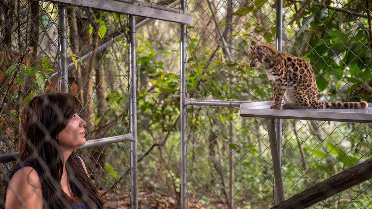 El extraño ejemplar del Tilcayo, Junto a la bióloga y exploradora de National Geographic, Paola Nogales Ascarrunz.(Foto: Reuters)