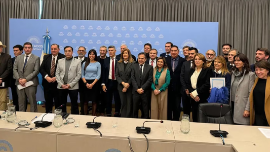 Intendentes presentaron un proyecto en Diputados para compensar la quita de subsidios al transporte