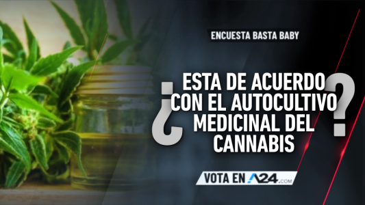 Encuesta Basta Baby: entrá y dejanos tu voto sobre la pregunta de esta noche