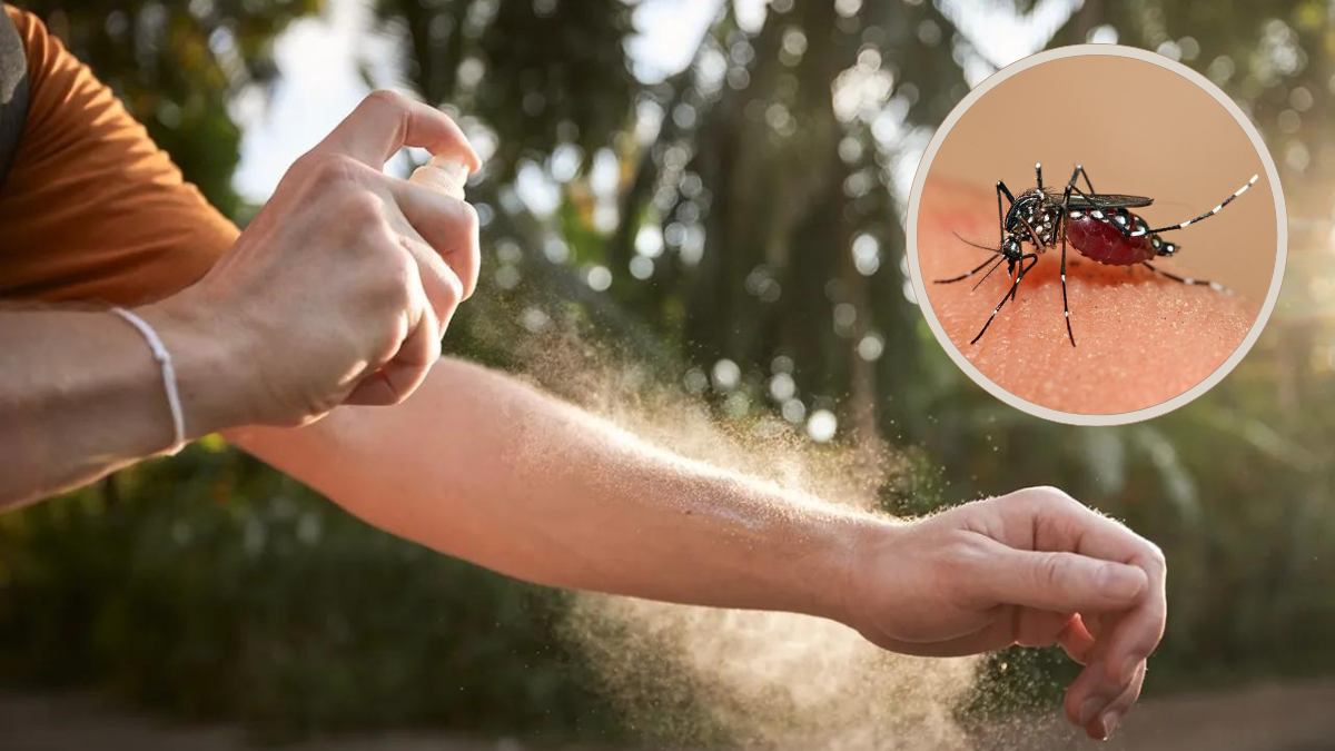 Repelente GRATIS contra el DENGUE en Buenos Aires: cómo conseguirlo
