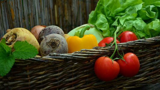 Alarma indigencia: la Canasta Básica Alimentaria aumentó más de 100% en un año