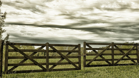 Marcha atrás con una decisión de Macri: proponen derogar el decreto que flexibilizó la venta de tierras rurales