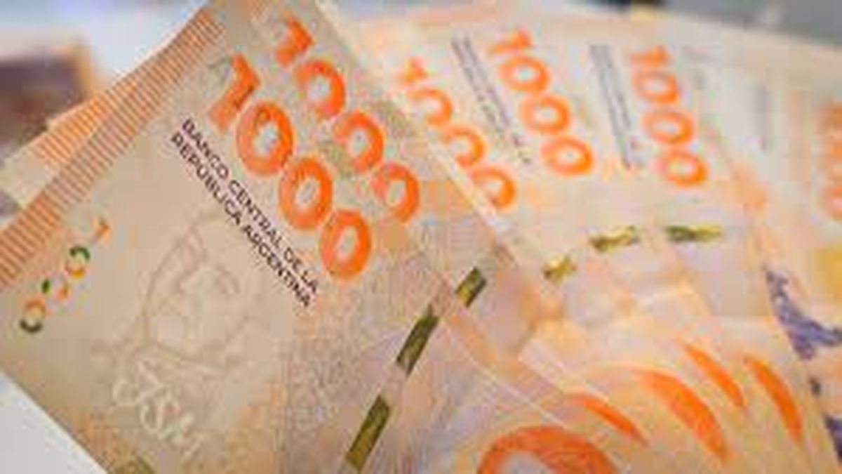 El bono que da ANSES es de 55 mil pesos (Foto: archivo).