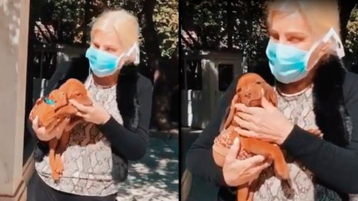 Susana Gim&eacute;nez, con Rita, cuando era apenas un cachorro