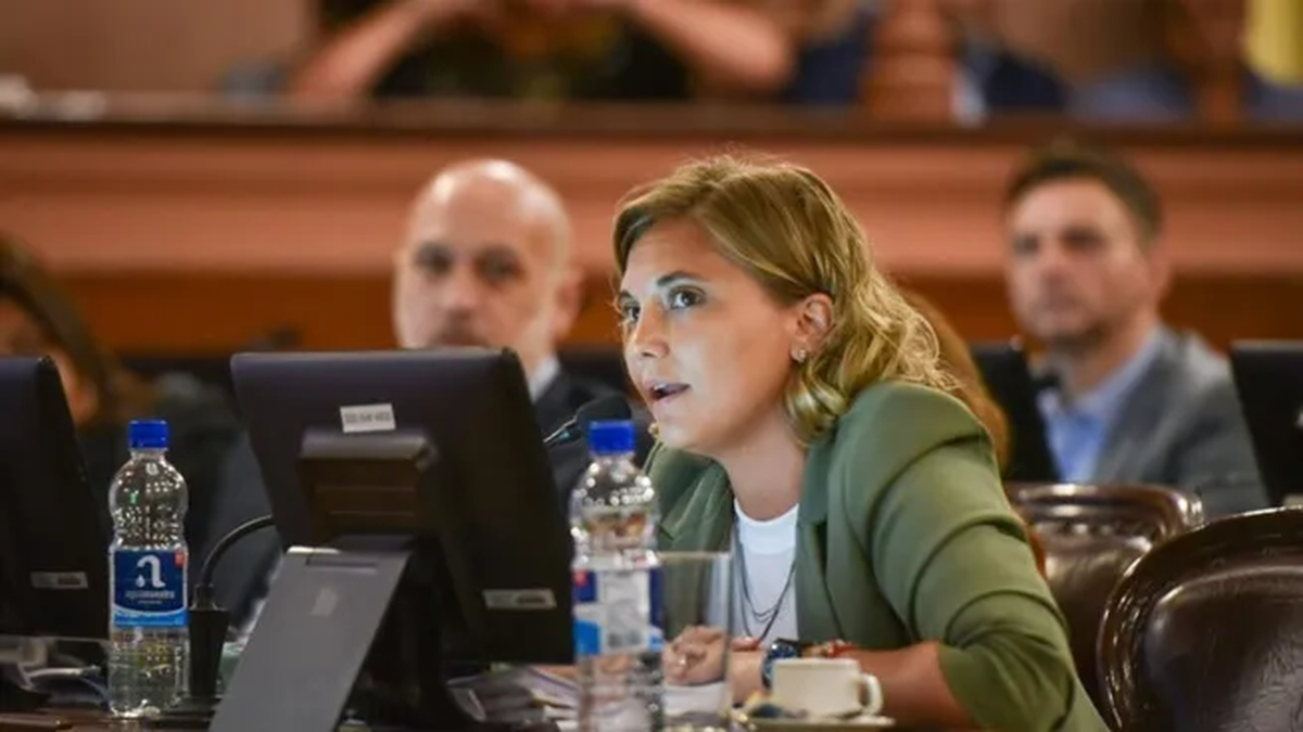 Stefanía Cora asumirá como senadora de la Nación.