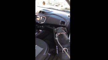 Jujuy: secuestraron más de 350 mil dólares ocultos en un auto. (Captura de video) Jujuy: secuestraron más de 350 mil dólares ocultos en un auto. (Captura de video)