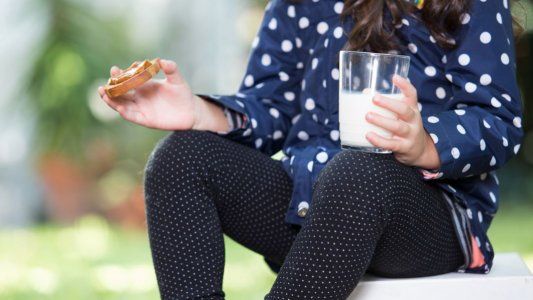 Por qué hoy es el día Día Mundial de la Leche