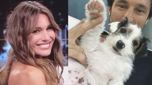 ¿El chofer de Pampita atropelló al perro de Pico Mónaco y ella lo dejó abandonado?