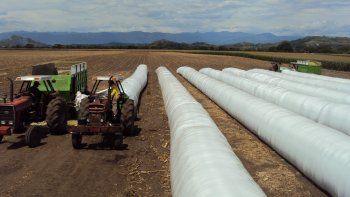 El Gobierno autorizaría la liquidación de soja a un dólar a $200. El Gobierno autorizaría la liquidación de soja a un dólar a $200.