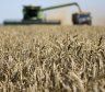Fondo de estabilización del trigo: el Gobierno sigue firme con la idea y se mantiene el rechazo del campo y la agroindustria