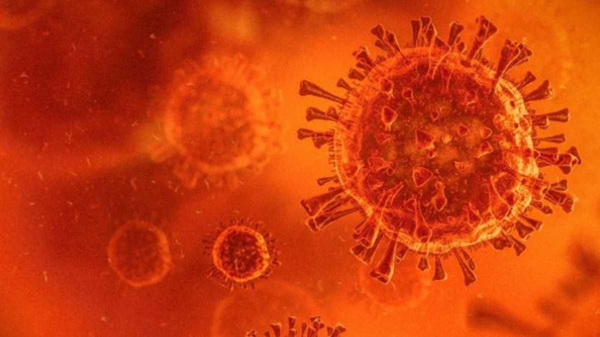 Coronavirus: alarma mundial por la variante detectada por científicos sudafricanos (Foto: Getty Images).