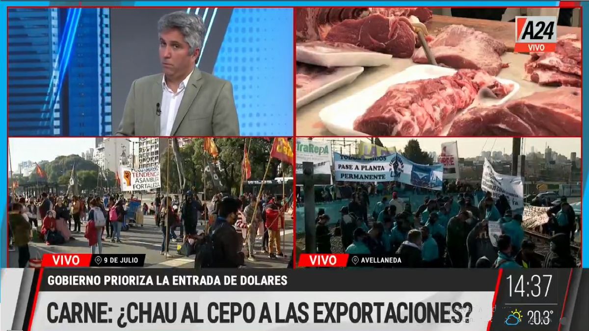 El gobierno analiza levantar el cepo de las exportaciones de carne (Foto: Captura de TV)