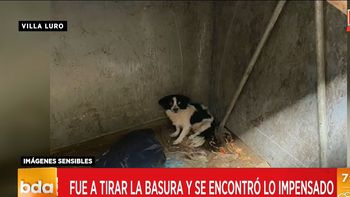 Así fue encontrada la perrita dentro del contenedor. Foto: captura de Tv.&nbsp;