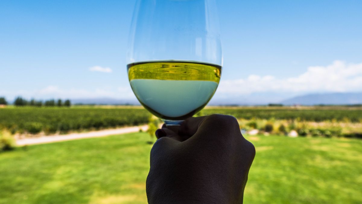La vitivinicultura es el sector agroalimentario exportador que más empleo genera. 
