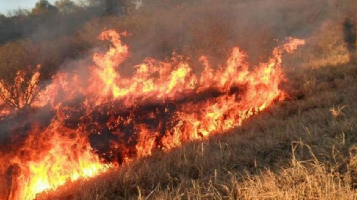 En Corrientes ya se quemaron más de 330 mil hectáreas por los incendios forestales (Foto: Corrientes Hoy).
