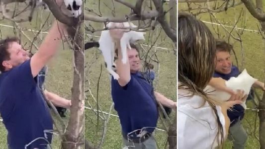 Bebe Contepomi puso en riesgo su vida y protagonizó un dramático rescate