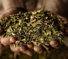 Cómo hacer un jabón exfoliante para la piel con yerba usada y miel