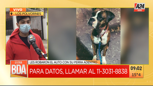 Familia desesperada: le robaron el auto y se llevaron a la perra