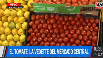 Tras la polémica del precio del tomate, ¿a cuánto está?