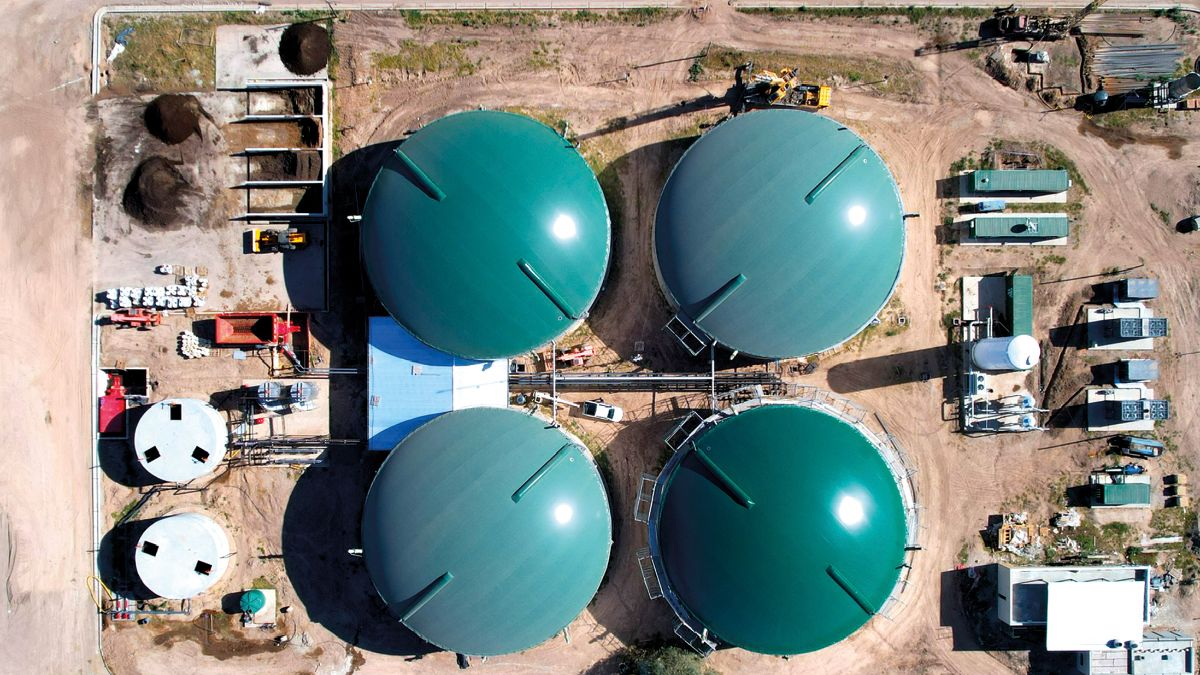 Minería de Bitcoin: un emprendedor argentino construye la primera  bio-cripto granja para minar sin dañar el ambiente