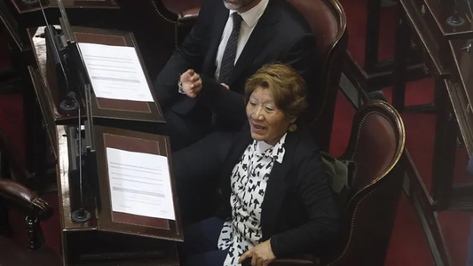 Una senadora libertaria contrató a varios familiares y el vocero Manuel Adorni se distanció de la maniobra