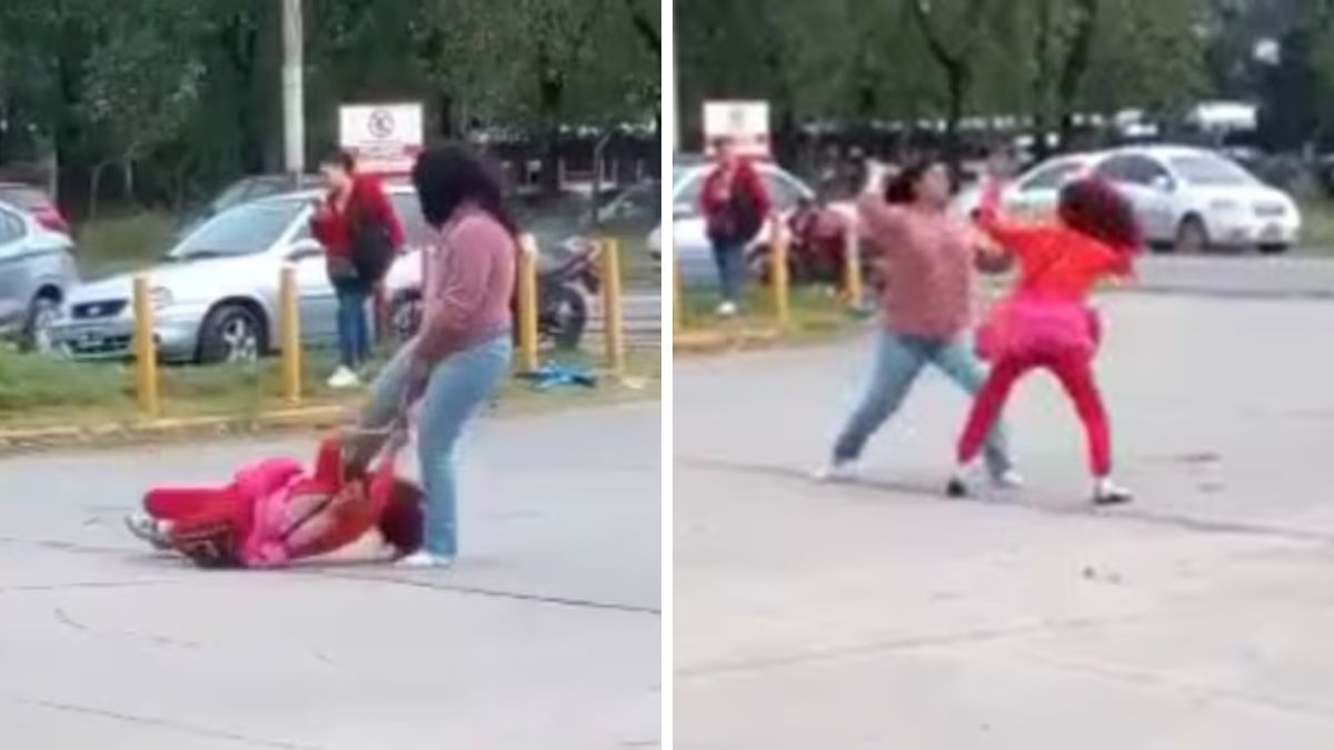 Video viral: escándalo amoroso con dos mujeres que se pelearon por un colectivero. (Capturas de pantalla)